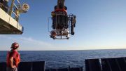 海洋生物碳泵