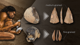 古代人类改变对原材料的选择以适应石器文理学和制作技巧图形