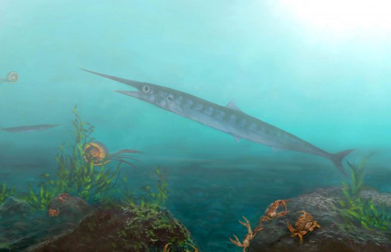 古生物学家发现从未见过的鱼种