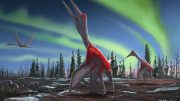 Pterosaur Cryodrakon Boras.