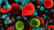 红血细胞、T复用细胞、Platelets