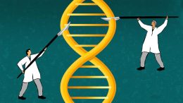 研究者创建更精确技术编辑活生物体基因组