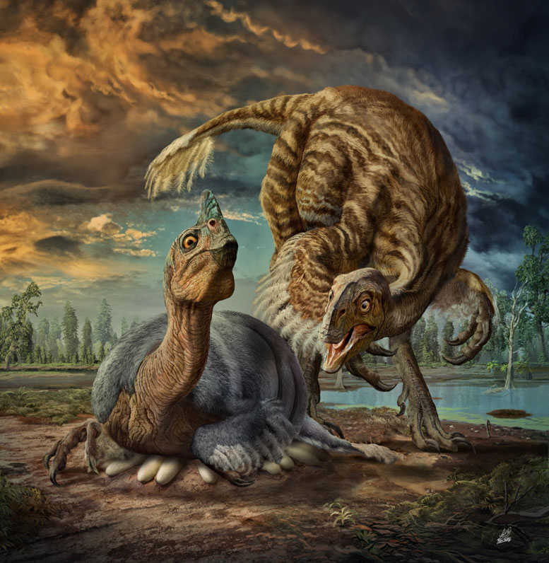 研究人员发现了一种新的巨型类鸟恐龙