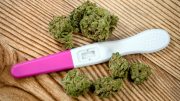 怀孕期间接触大麻的风险