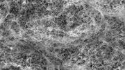 扫描电镜图像聚合物网络粘蛋白