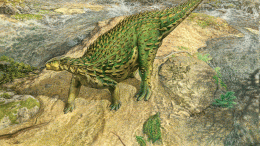 Scelidosaurus恐龙