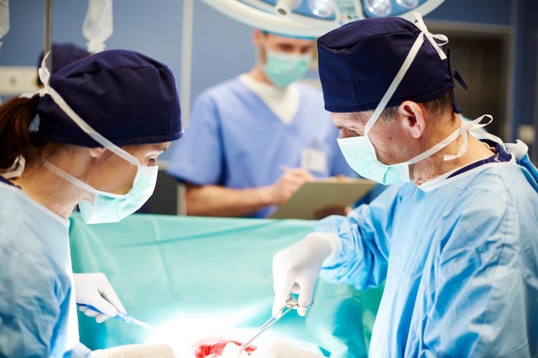 器官移植外科医生团队