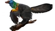 微小的恐龙与彩虹ruff和鲣鸟饰有魅力