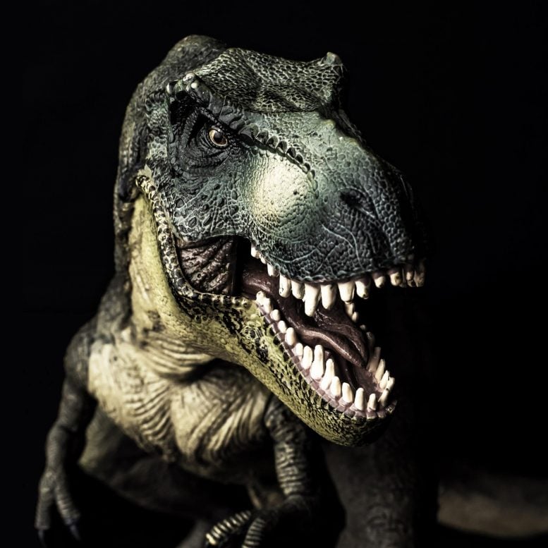 Tyrannosaurus t-rex恐龙