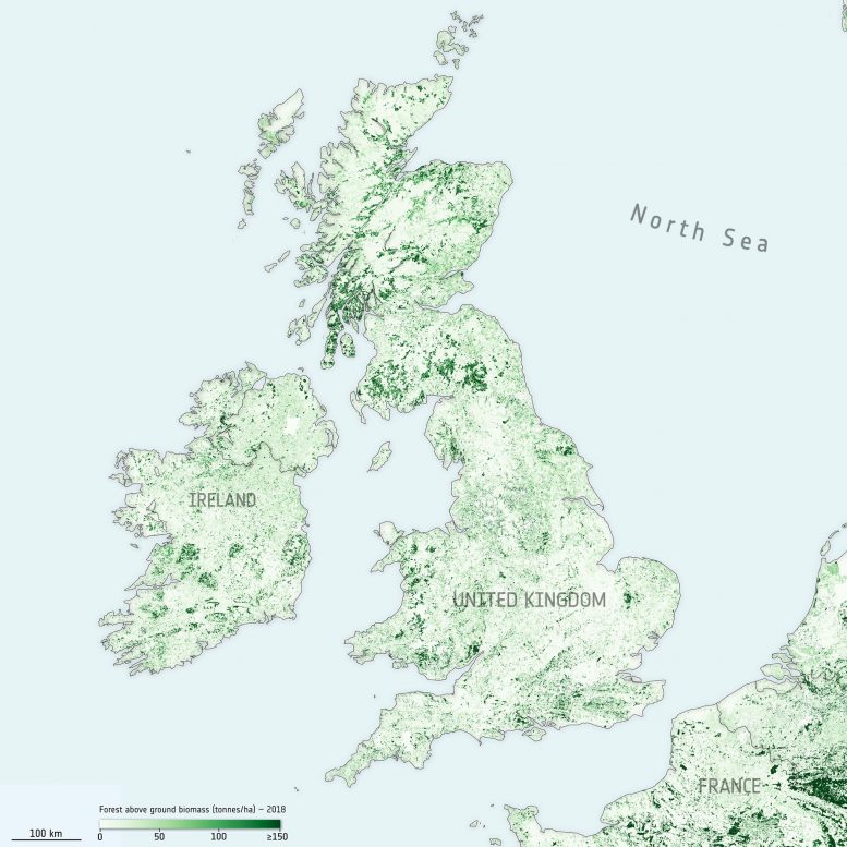 英国和爱尔兰地面生物量