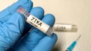Zika病毒疫苗插图