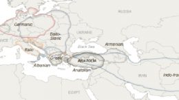 疾病 - 地图 - 传播 - 印度 - 欧洲语言