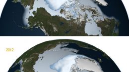 常年海冰从1980年至2012年下降