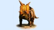 xenoceratops-artist